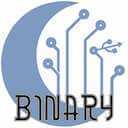 Binary Moon Solutions